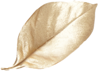 leaf 3@2x