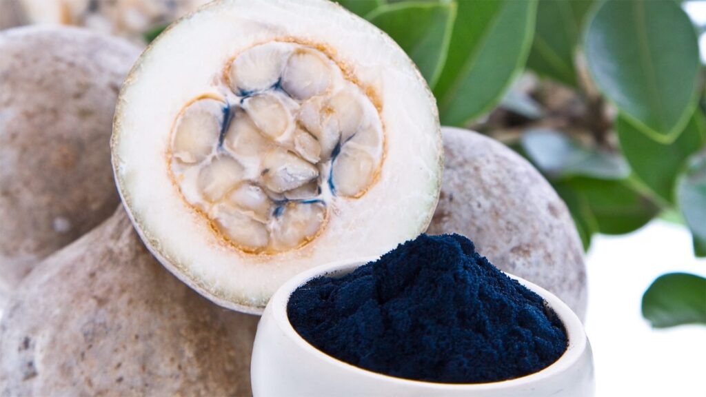 Huito: El secreto ancestral amazónico para la cosmética y el cuidado personal jagua 1 1024x576